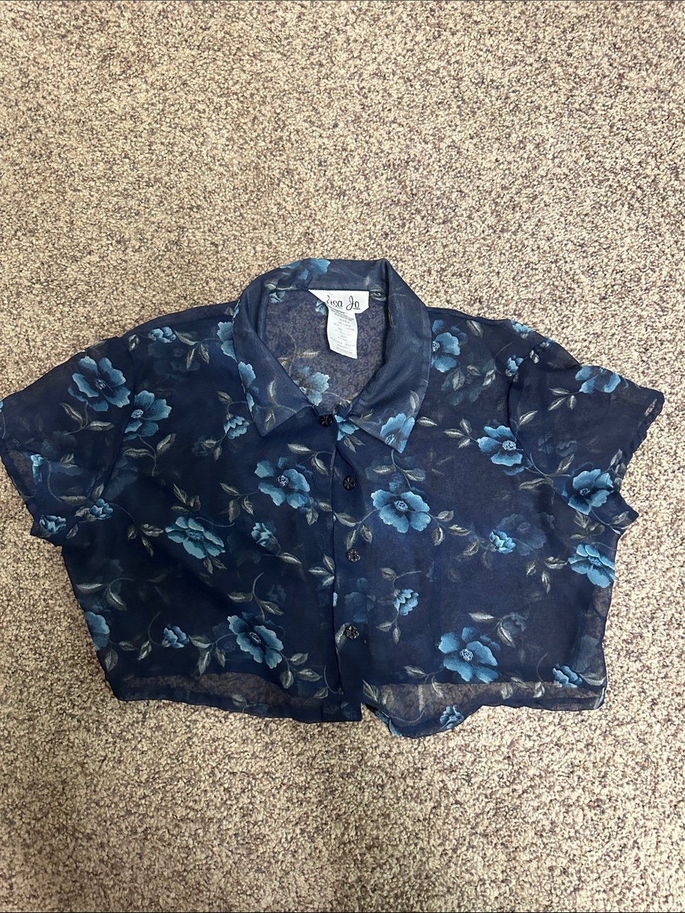 Sheer Button-Up Crop Top